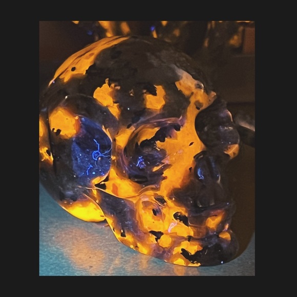 Oddities & Curiosities MYSTERY Box - Picture 7 of 8